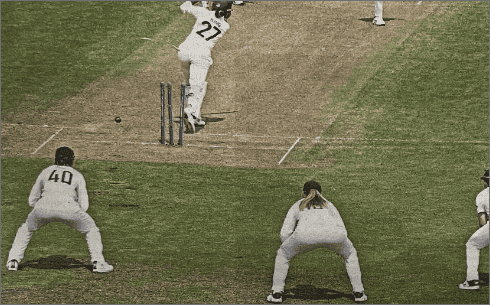 women's cricket game